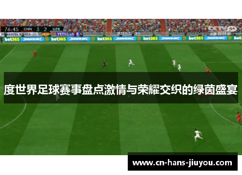 度世界足球赛事盘点激情与荣耀交织的绿茵盛宴