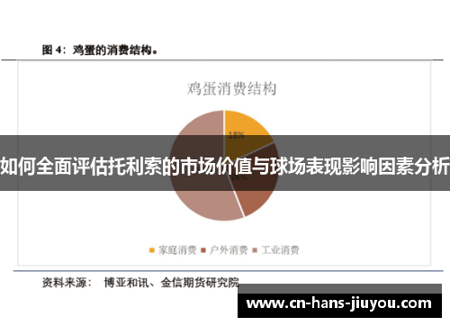 如何全面评估托利索的市场价值与球场表现影响因素分析