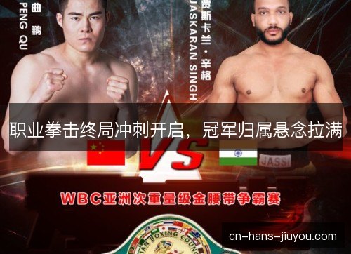 职业拳击终局冲刺开启,冠军归属悬念拉满 职业拳击终局冲刺开启,冠军归属悬念拉满